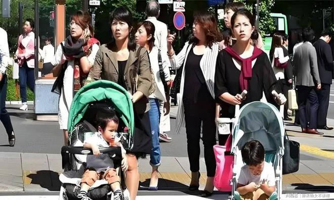 83万广西新生儿人数揭秘！OG真人韩国24年出生23(图7)