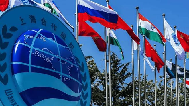 度得到真正的实惠莫迪发文感谢中国OG真人全员赞成天津宣言通过印(图5)